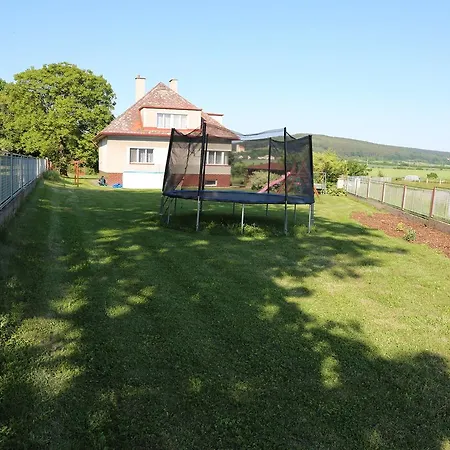 Near The Forest