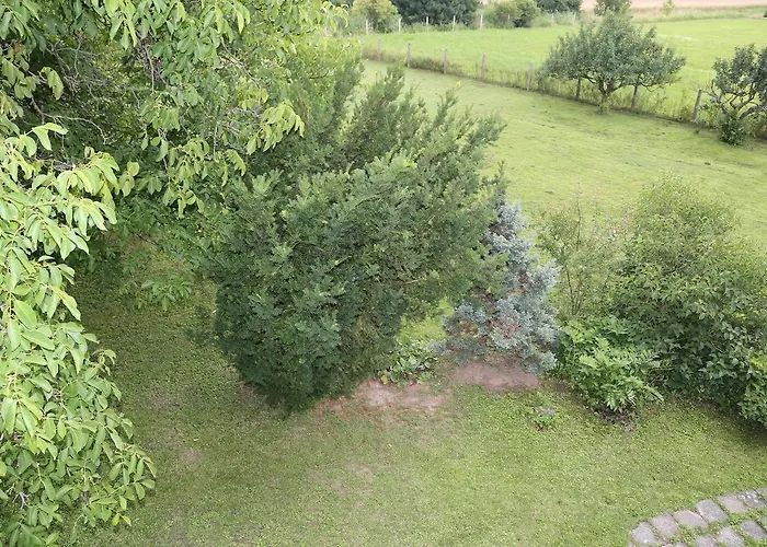 Near The Forest